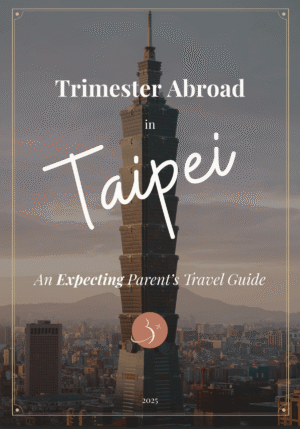 Trimester Abroad in Taipei: An Expecting Parent’s Travel Guide