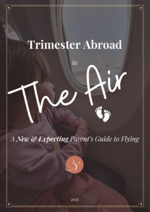 Trimester Abroad In The Air: The Ultimate Flight Guide for New & Expecting Parents
